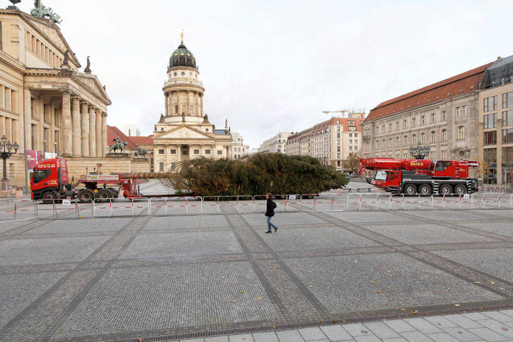 Tieflader mit Weihnachtsbaum