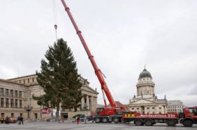 Wer bringt den Weihnachtsbaum am Gendarmenmarkt?